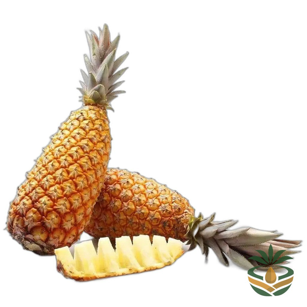Ananas sucré — épicerie camerounaise authentique | Cocotier Market