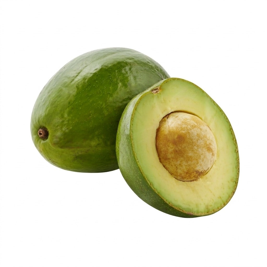 Avocat tropical - achat en ligne, épicerie africaine Cocotier Market