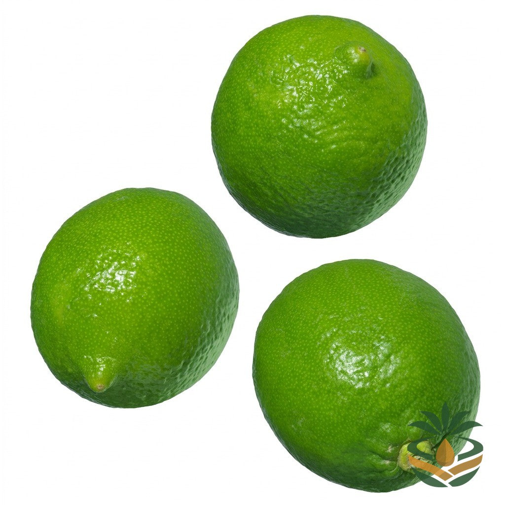 Citron vert tropical - épicerie camerounaise authentique | Cocotier Market