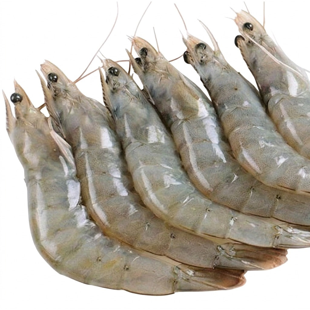 Crevettes fraîches de Kribi - achat en ligne, épicerie africaine Cocotier Market