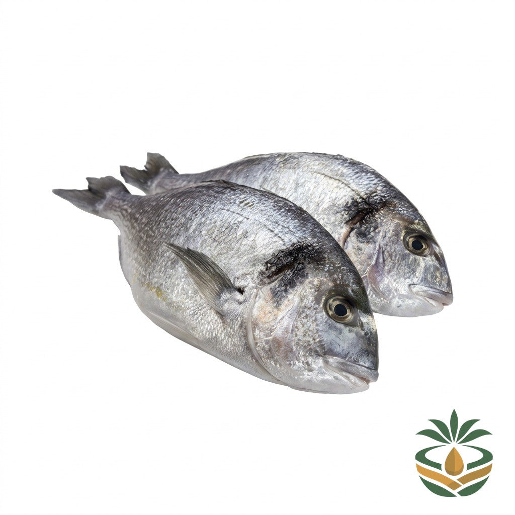 Dorade fraîche - épicerie camerounaise authentique | Cocotier Market