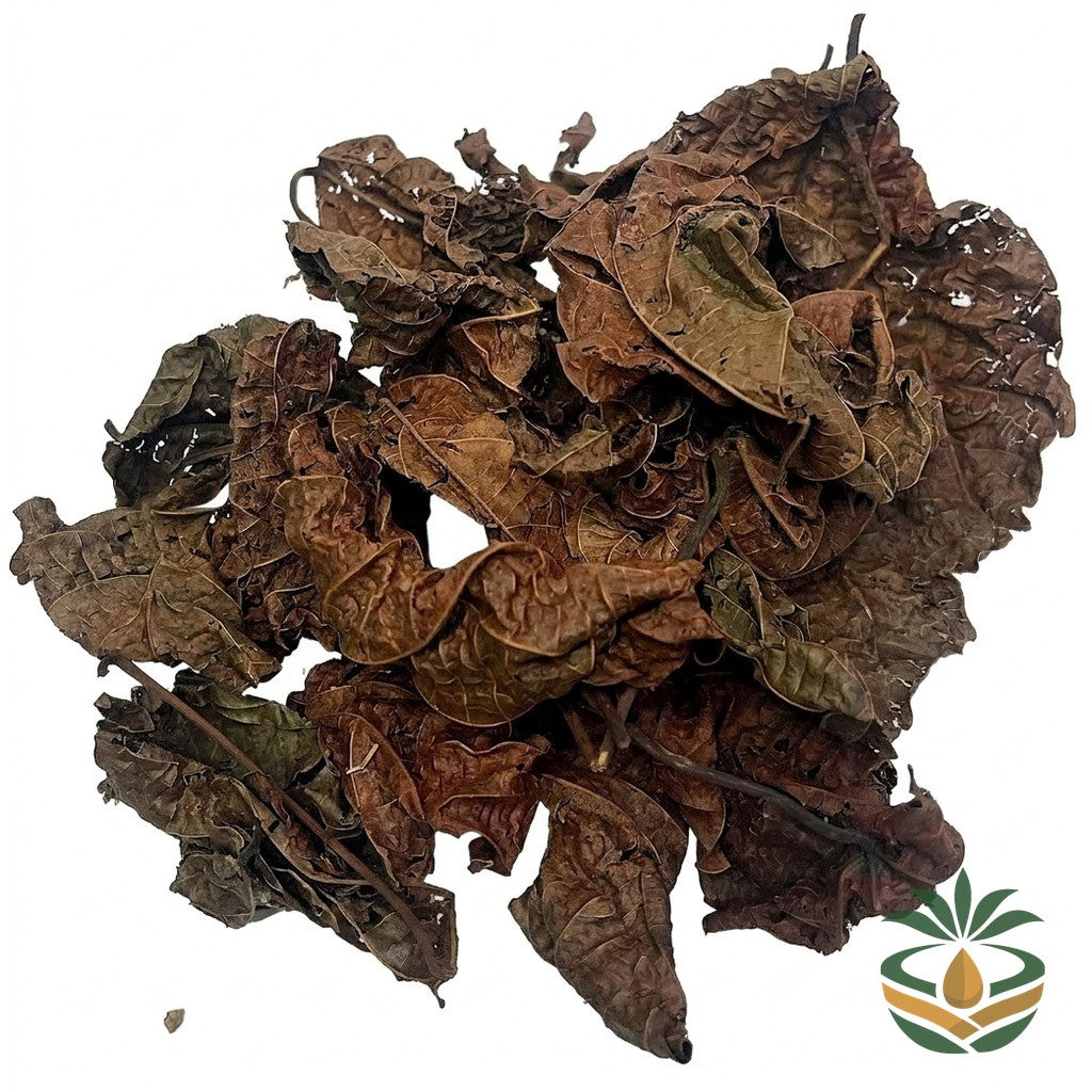Feuilles de djeka séchées - épicerie camerounaise authentique | Cocotier Market