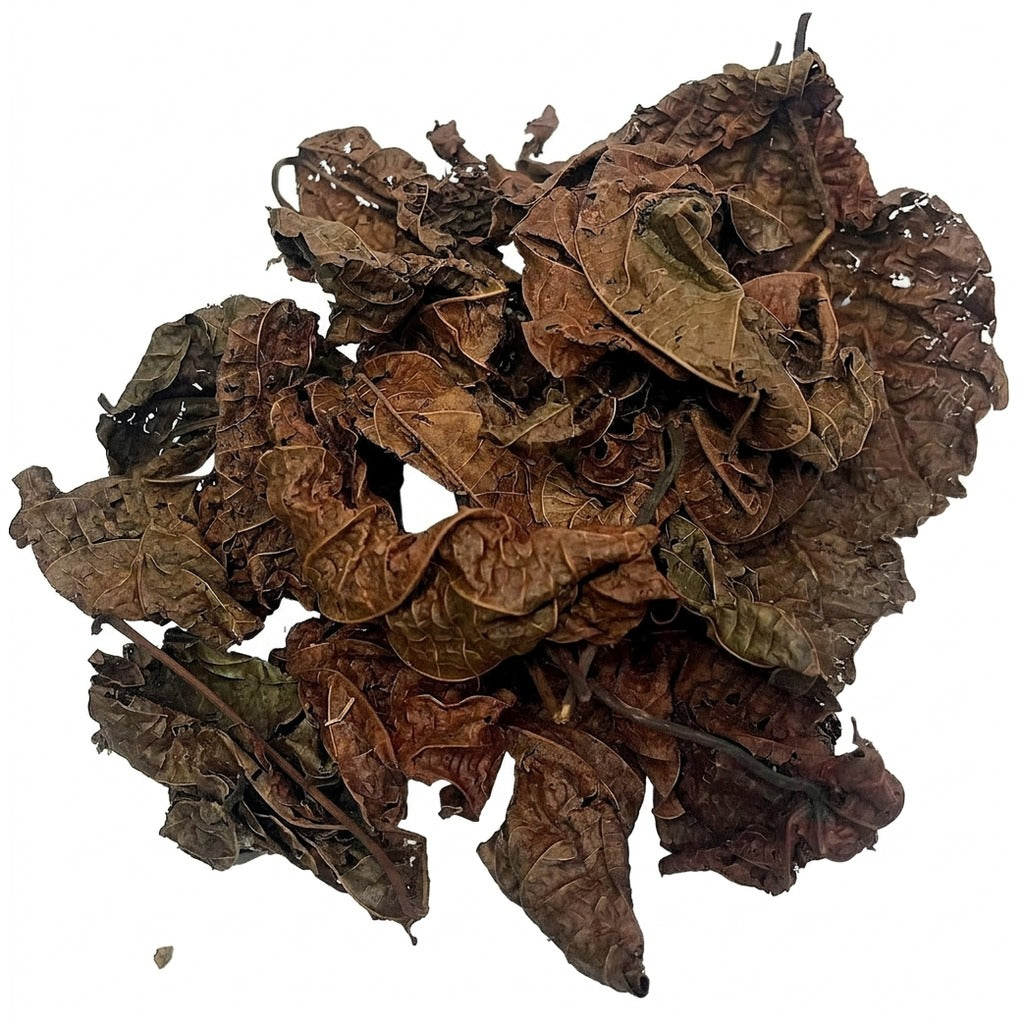Feuilles de djeka séchées - achat en ligne, épicerie africaine Cocotier Market