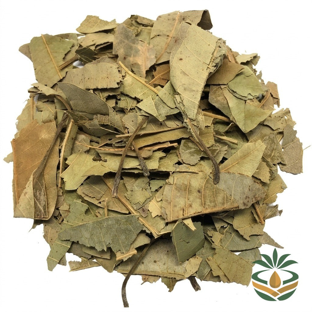 Feuilles de goyavier séchées - épicerie camerounaise authentique | Cocotier Market