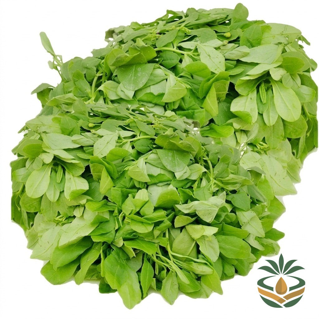 Feuilles de waterleaf - épicerie camerounaise authentique | Cocotier Market
