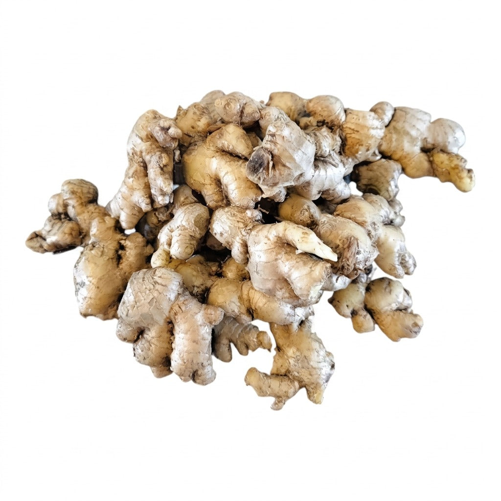 Gingembre frais - achat en ligne, épicerie africaine Cocotier Market