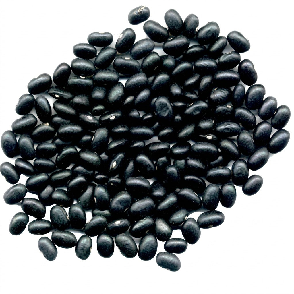 Haricots noirs - achat en ligne, épicerie africaine Cocotier Market