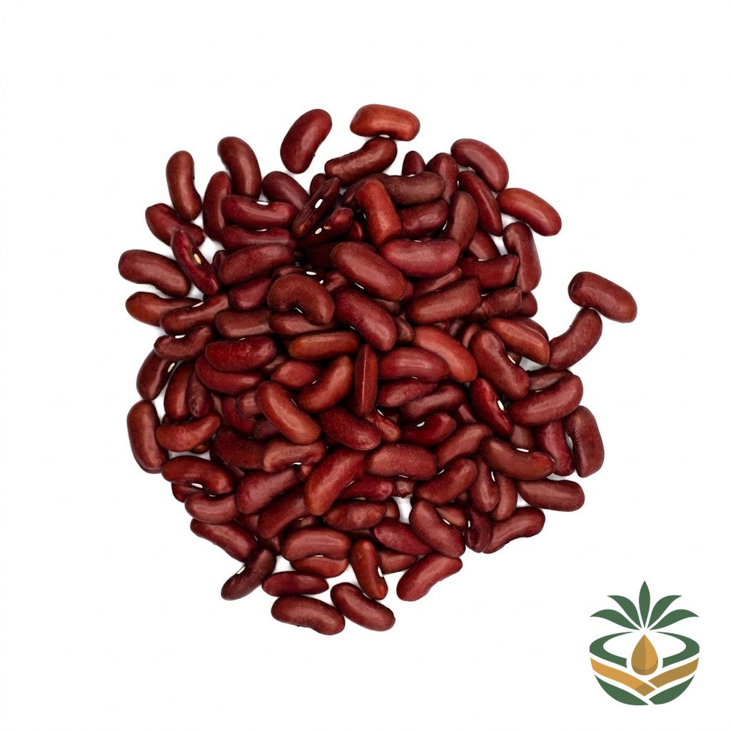 Haricots rouges gros grains - épicerie camerounaise authentique | Cocotier Market