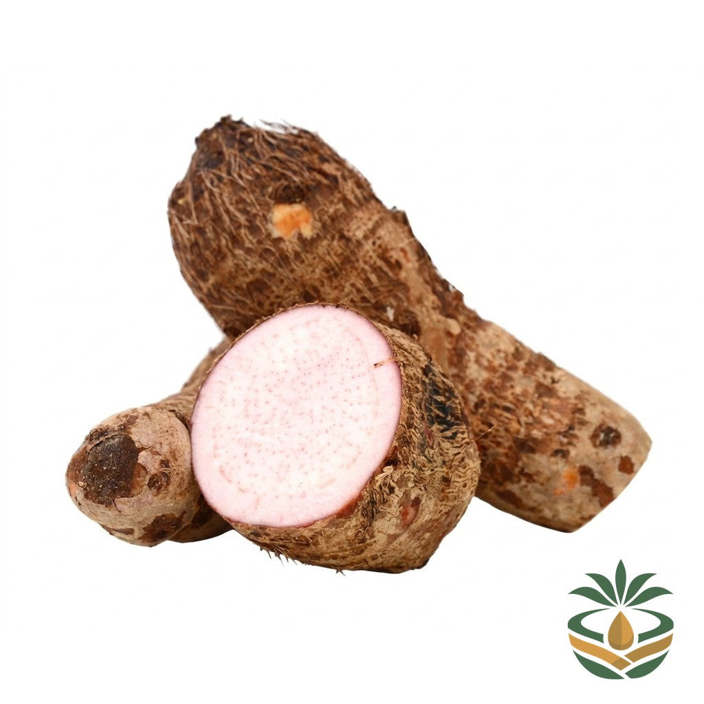 Macabo rouge frais - épicerie camerounaise authentique | Cocotier Market