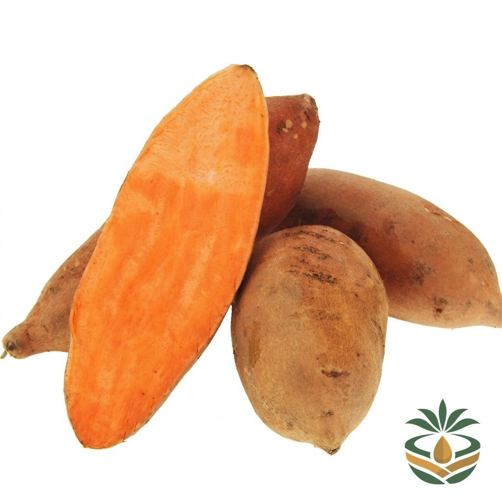 Patate douce orange fraîche - épicerie camerounaise authentique | Cocotier Market
