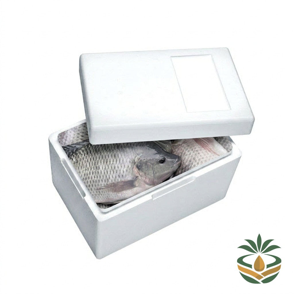 Tilapia frais emballé - livraison France et Europe | Cocotier Market