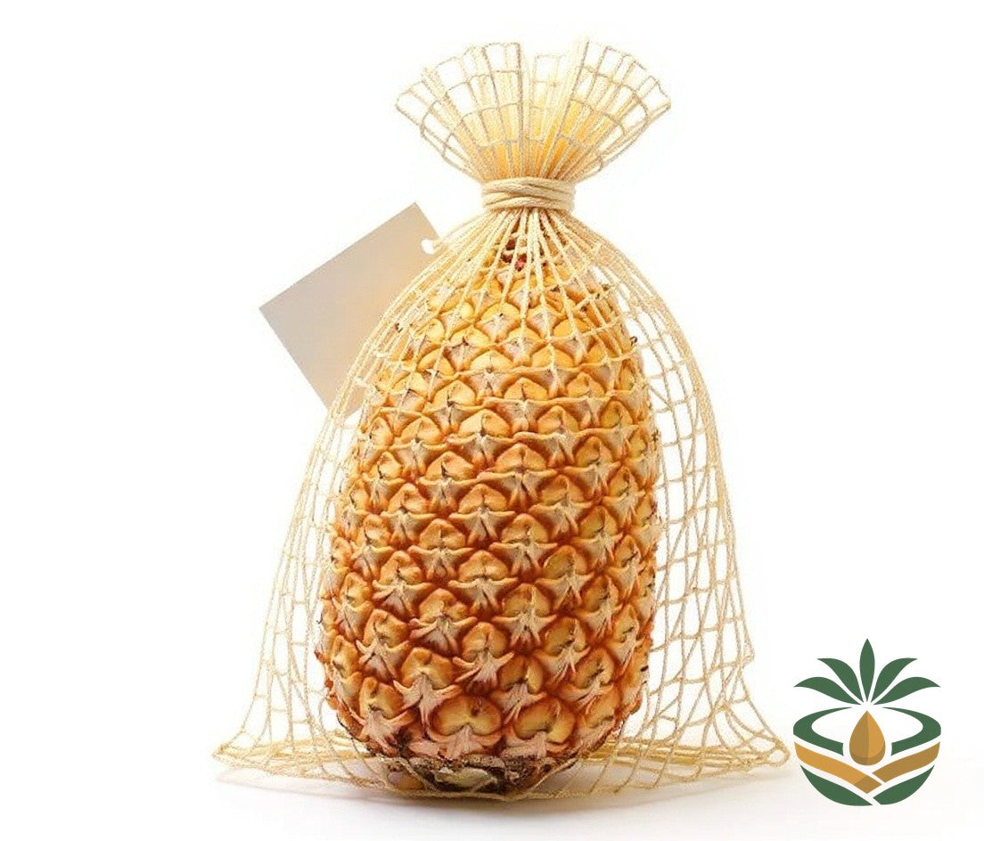 Ananas sucré emballé — livraison France et Europe | Cocotier Market