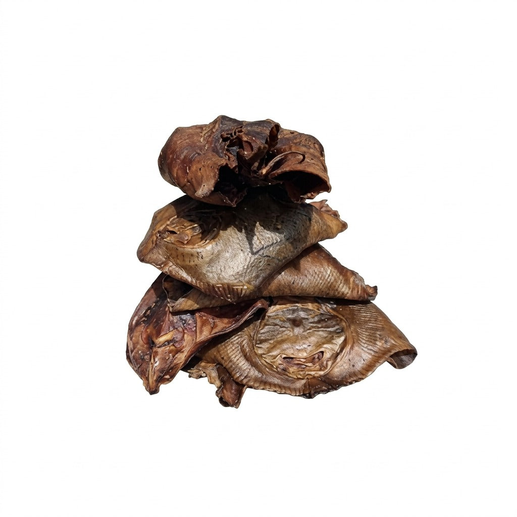 Cobapot – Poisson raie fumé - achat en ligne, épicerie africaine Cocotier Market