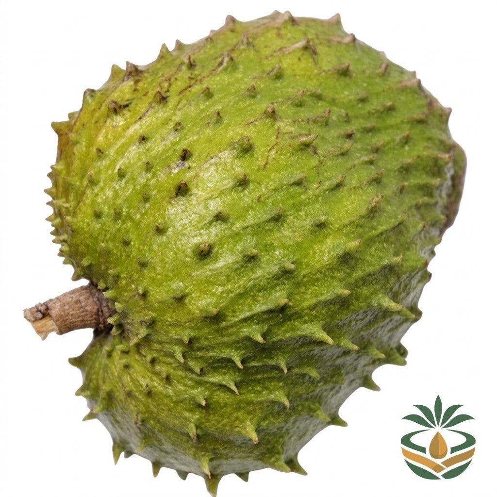 Corossol frais - épicerie camerounaise authentique | Cocotier Market