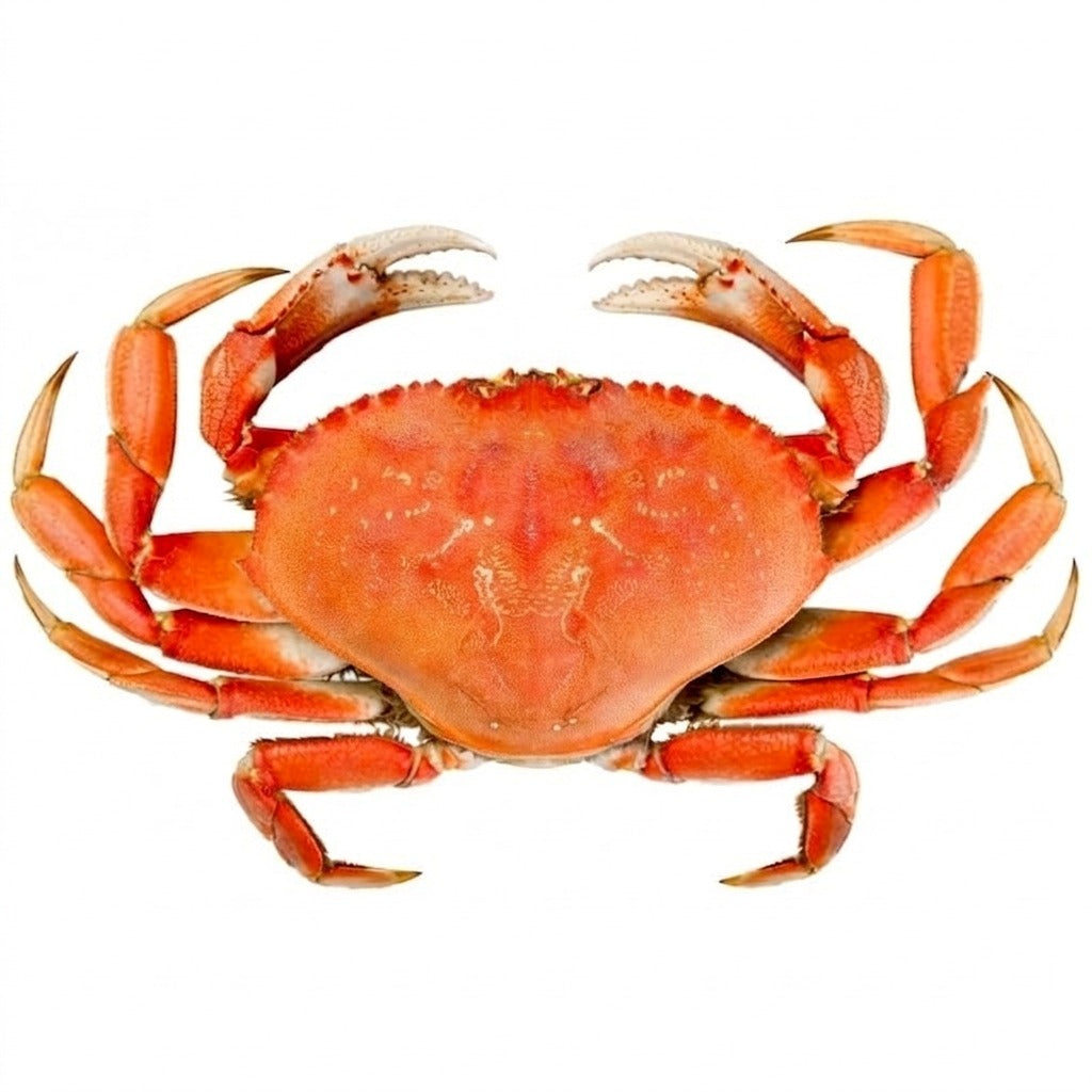 Crabes frais - achat en ligne, épicerie africaine Cocotier Market