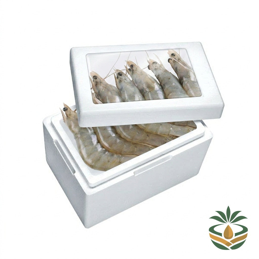 Crevettes fraîches de Kribi emballé - livraison France et Europe | Cocotier Market