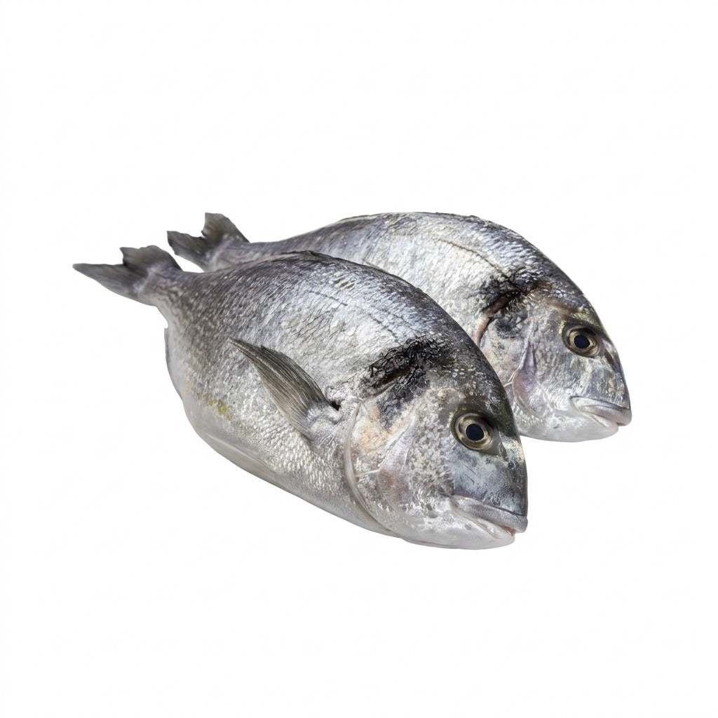 Dorade fraîche - achat en ligne, épicerie africaine Cocotier Market