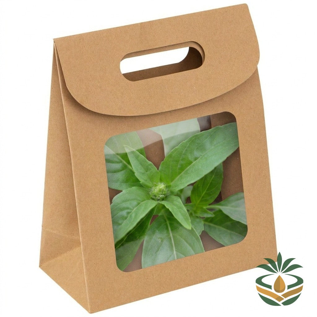 Feuilles de basilic africain fraîches emballé - livraison France et Europe | Cocotier Market