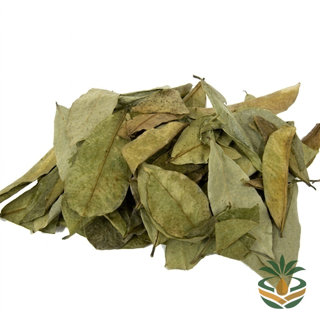 Sachet de feuilles de corossol séchées Cocotier Market - épicerie camerounaise authentique