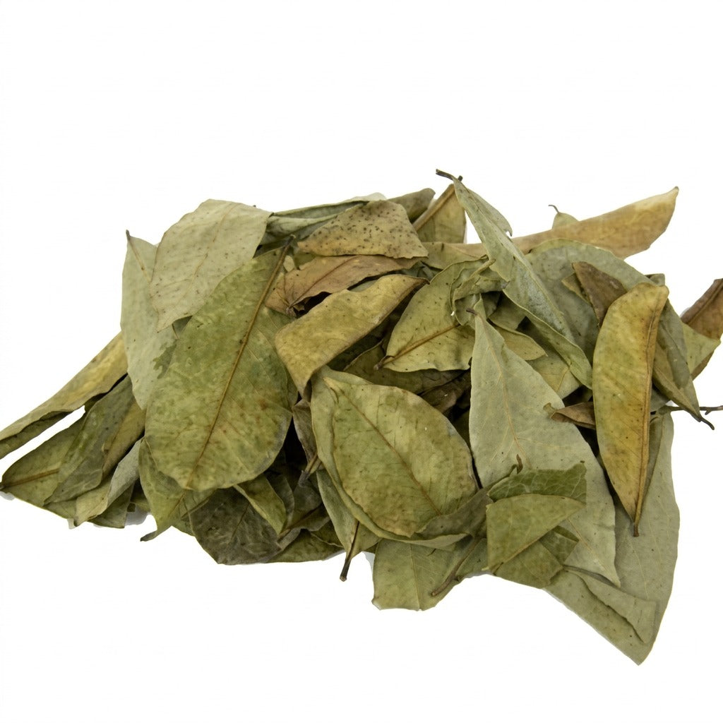 Feuilles de corossol séchées en vrac pour infusion - épicerie africaine Cocotier Market