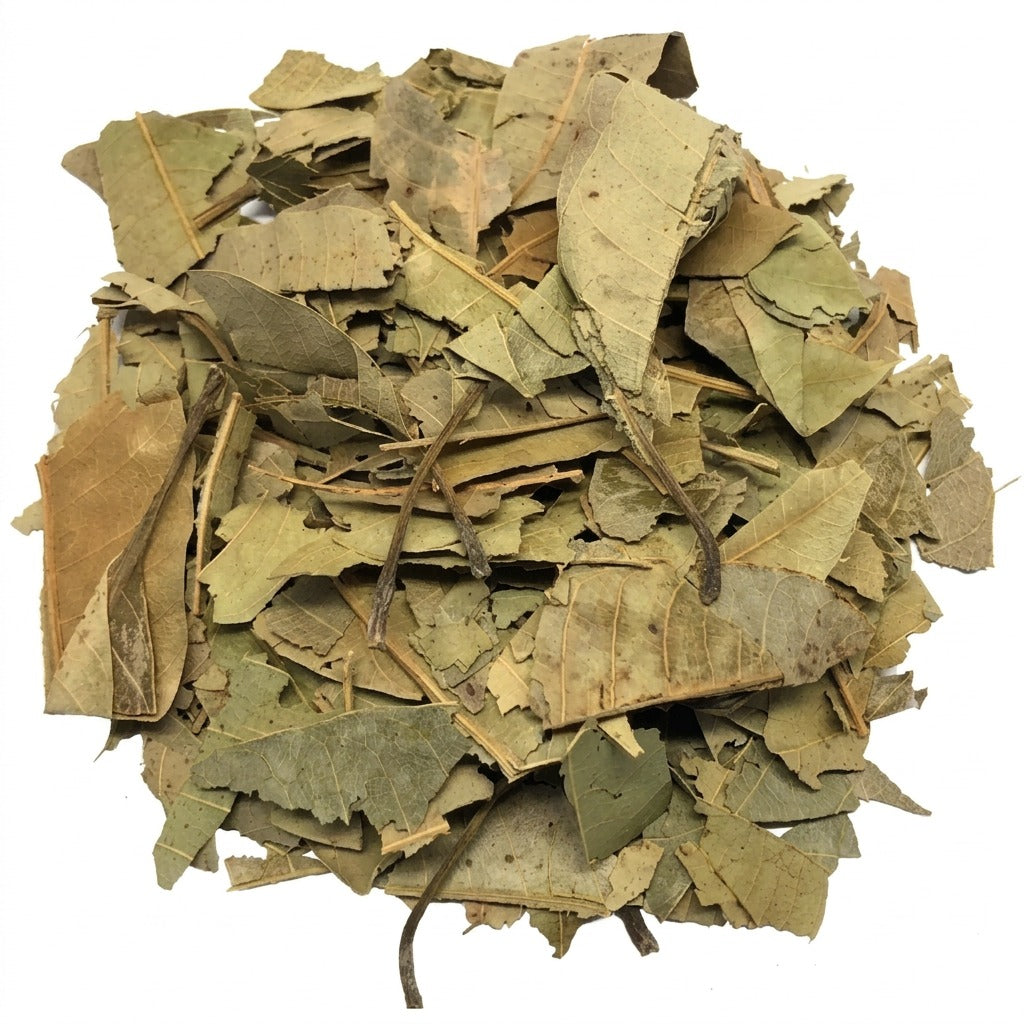 Feuilles de goyavier séchées - achat en ligne, épicerie africaine Cocotier Market