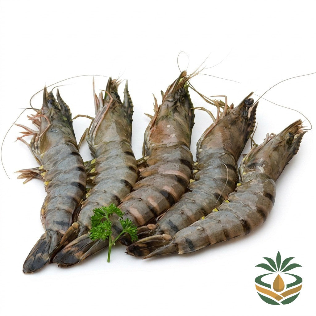 Gambas fraîches - épicerie camerounaise authentique | Cocotier Market
