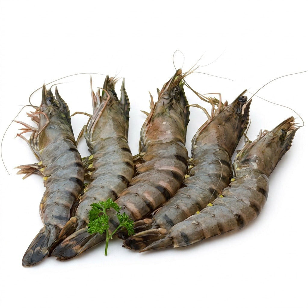 Gambas fraîches - achat en ligne, épicerie africaine Cocotier Market