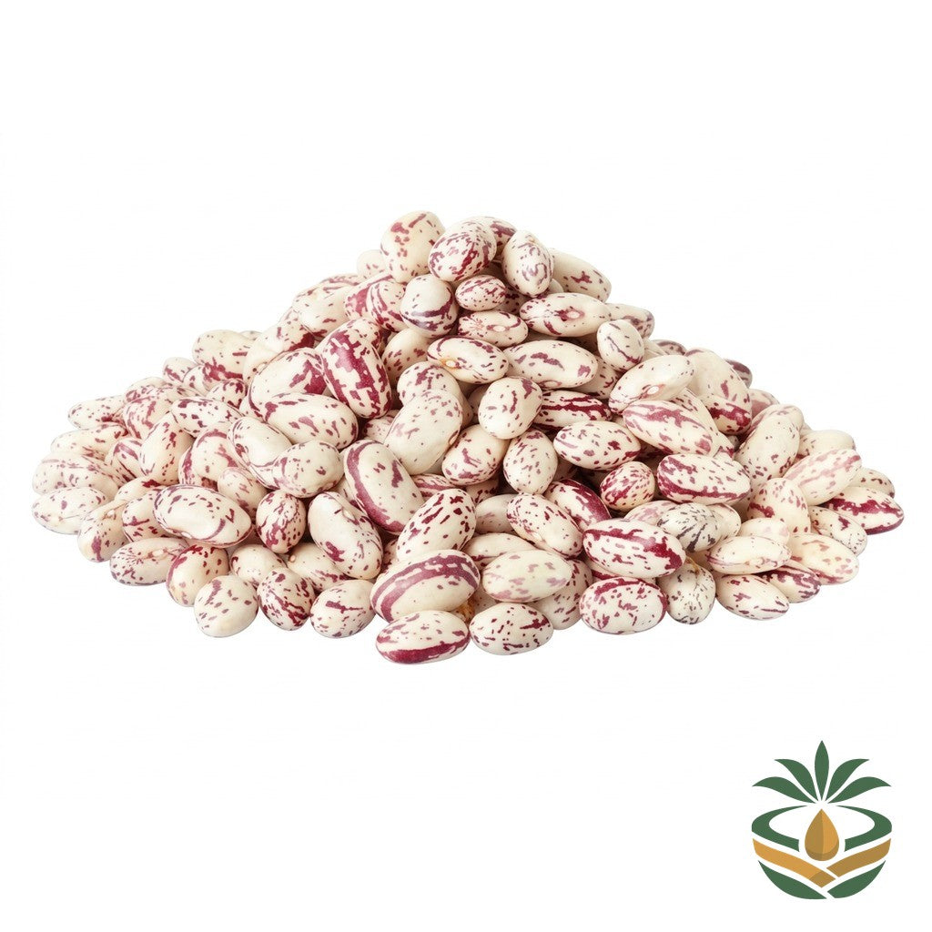 Haricots rouges et blancs - épicerie camerounaise authentique | Cocotier Market