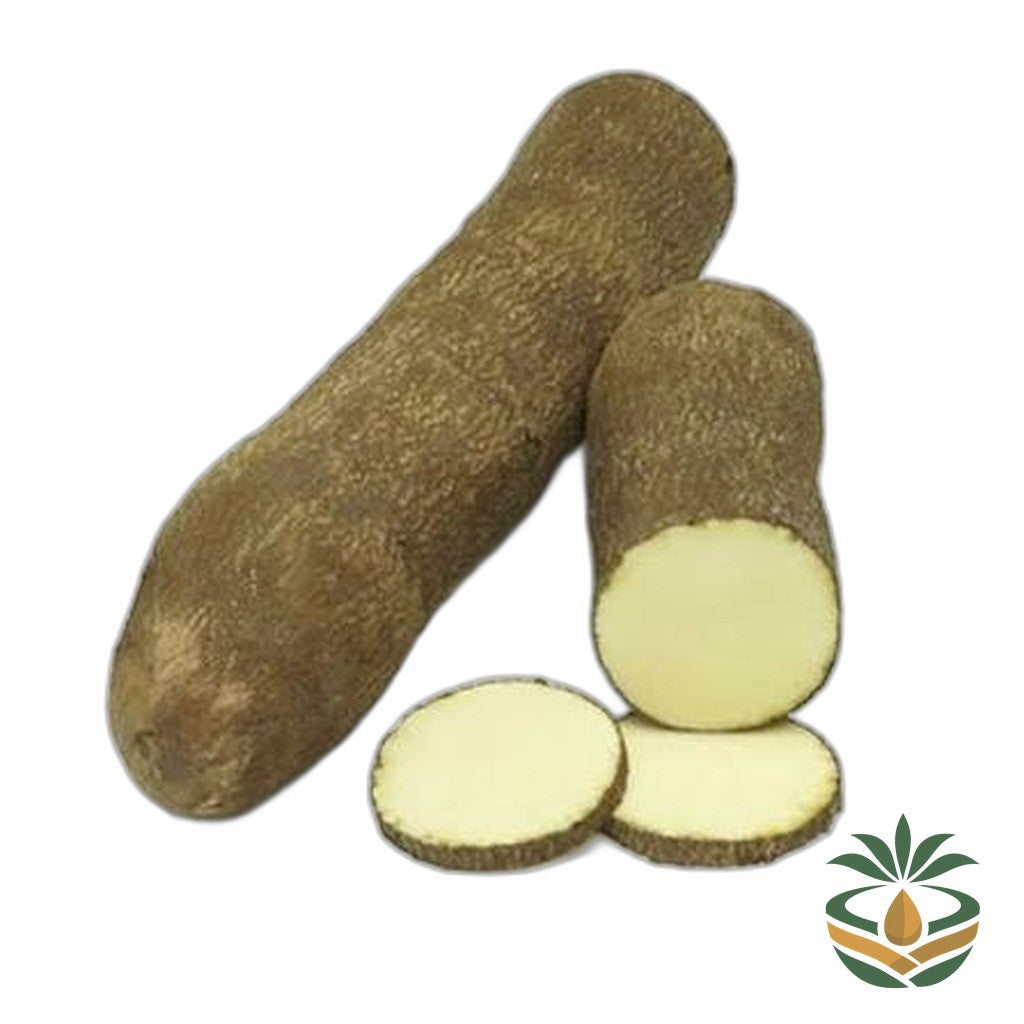 Igname blanche fraîche - épicerie camerounaise authentique | Cocotier Market