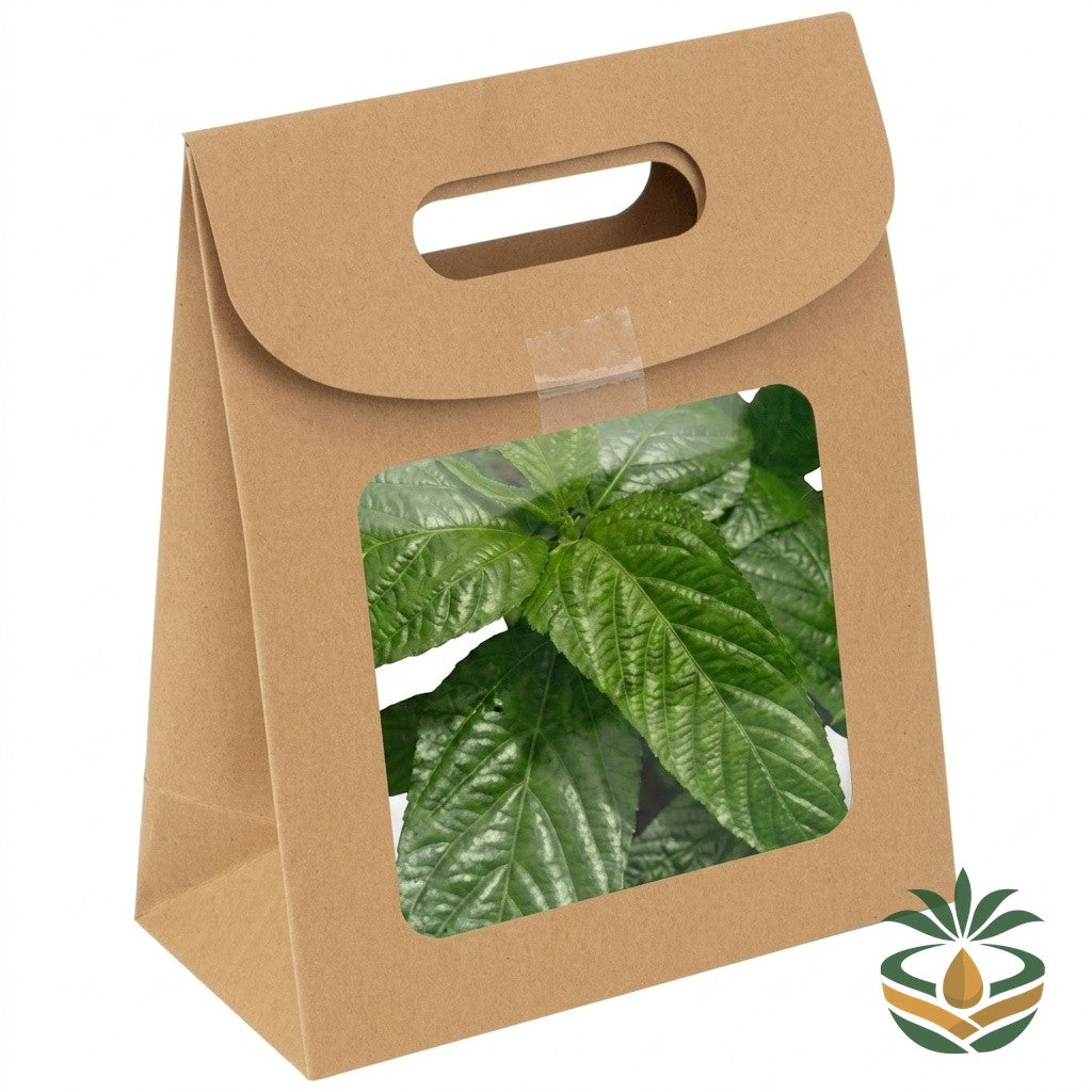 Kelen-Kelen – Feuilles de gombo frais emballé - livraison France et Europe | Cocotier Market