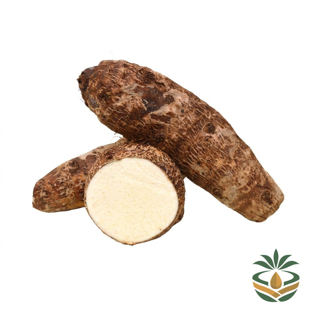 Macabo blanc frais - épicerie camerounaise authentique | Cocotier Market