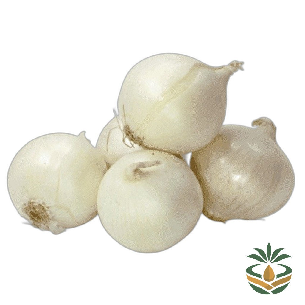 Oignons blancs frais - épicerie camerounaise authentique | Cocotier Market