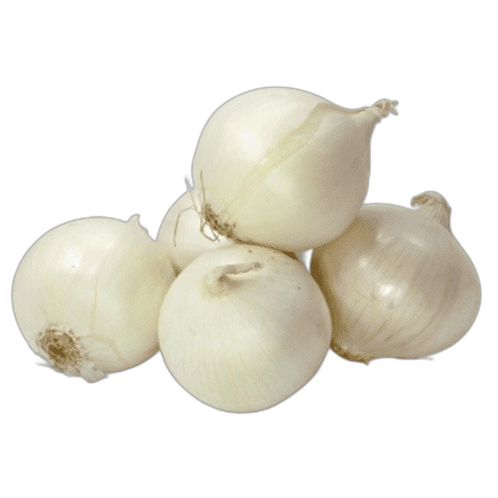 Oignons blancs frais - achat en ligne, épicerie africaine Cocotier Market