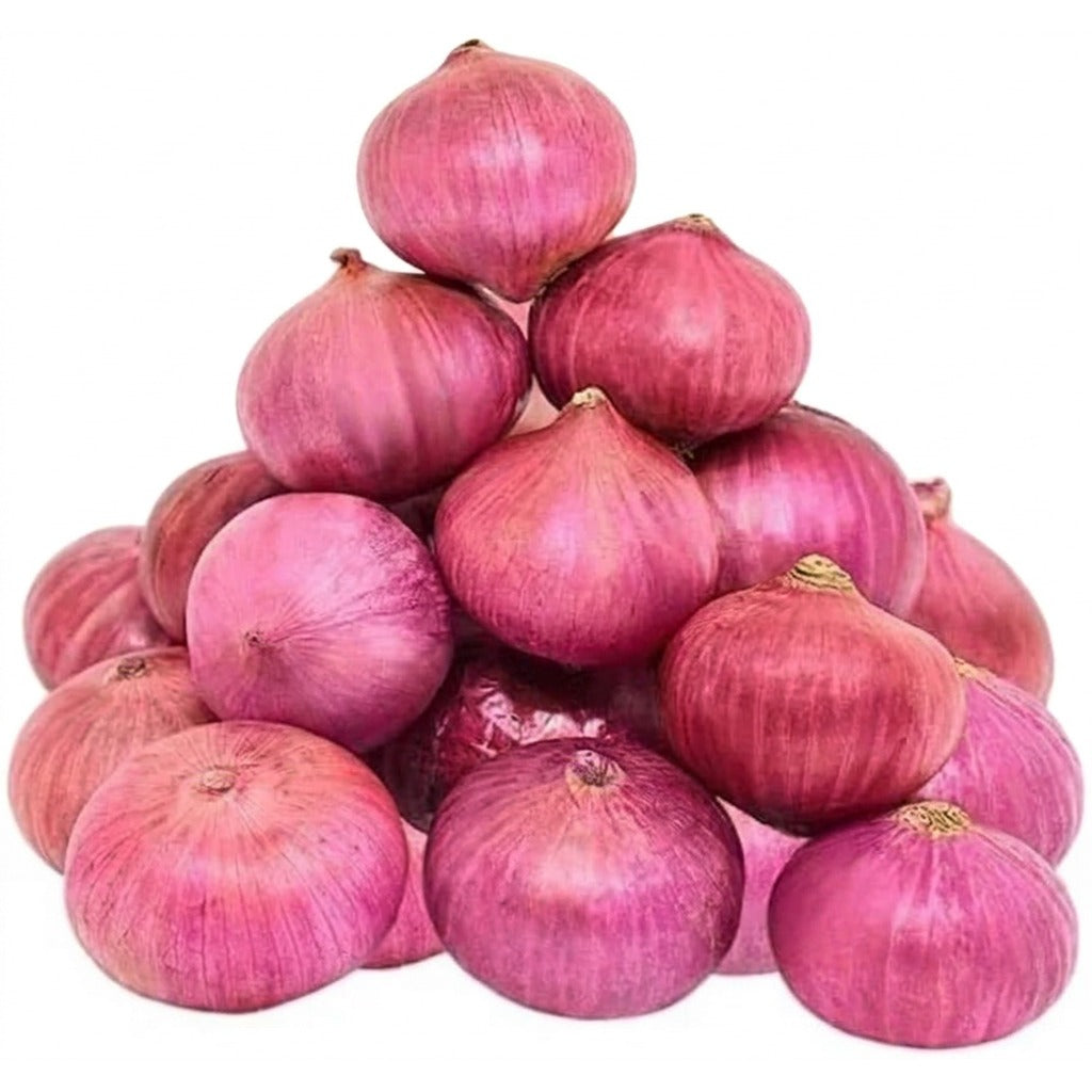 Oignons rouges frais - achat en ligne, épicerie africaine Cocotier Market
