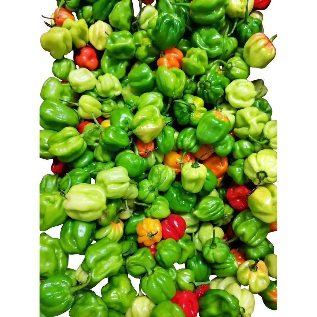Piment frais vert - achat en ligne, épicerie africaine Cocotier Market