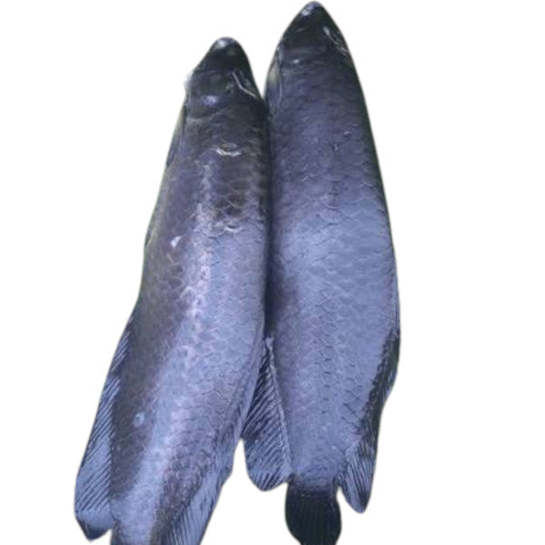 Poisson Kanga Frais