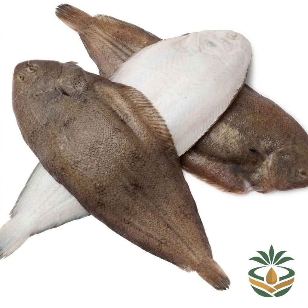 Poisson sole du pays - épicerie camerounaise authentique | Cocotier Market