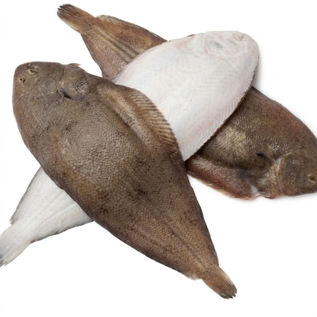 Poisson sole du pays - achat en ligne, épicerie africaine Cocotier Market